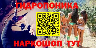 крисы Волжск